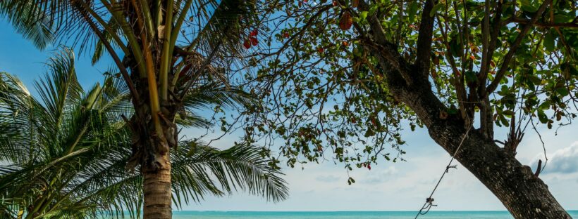 Plage tropicale de Koh Samui